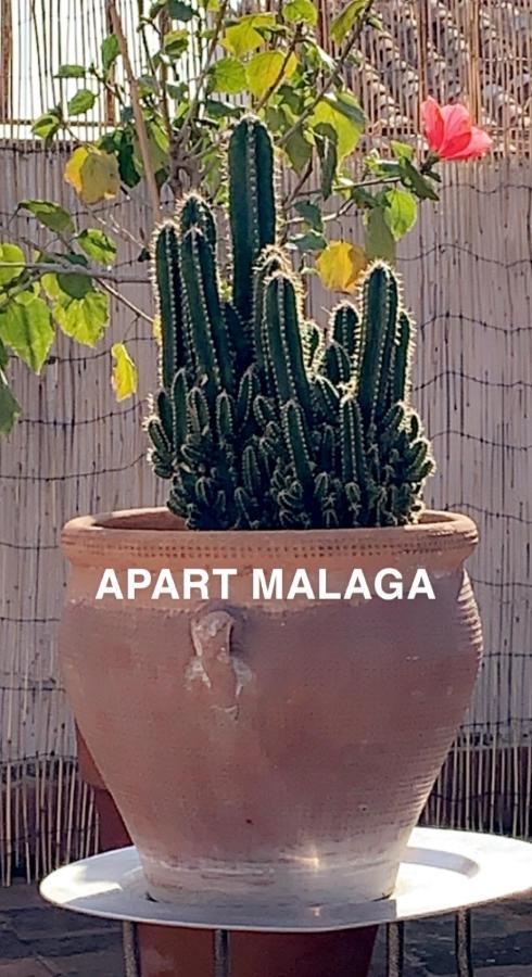 Appartement Plein Coeur Centre Historique De Malaga Bagian luar foto